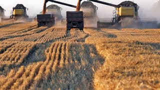 Rusya tahıl ürünlerinde ihracat vergilerini geçici olarak sıfırlıyor