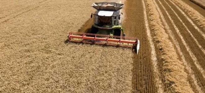 Rusya tahılda bu yıl en az 135 milyon ton hasat bekliyor