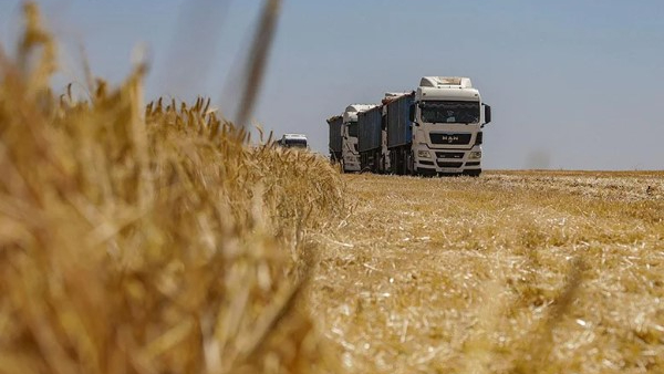 Rusya tahılda ihracat vergisini sıfırlıyor