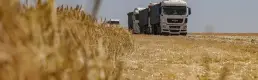 Rusya tahılda ihracat vergisini sıfırlıyor