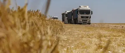 Rusya tahılda ihracat vergisini sıfırlıyor