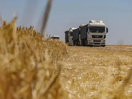 Rusya tahılda ihracat vergisini sıfırlıyor
