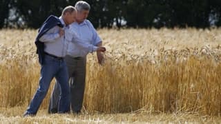 Rusya, tahılda ihracat vergisini yüzde 32 artırdı