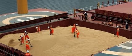 Rusya teyit etti: Karadeniz tahıl koridoru anlaşması yenilendi