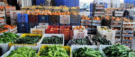 Rusya-Ukrayna savaşı gıda tedarikinde sıkıntılara neden oluyor 