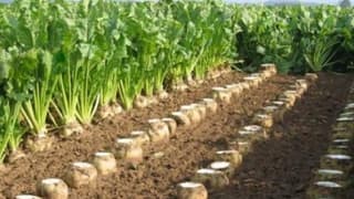 Şeker Fabrikasının Özelleştirilmemesi İçin İmza Kampanyası