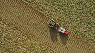 Şekerde pazarlama yılı kotaları belirlendi