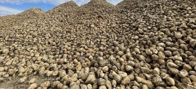 Şekerde yeni dönem kotaları belirlendi