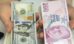 Serbest piyasada döviz açılış fiyatları (12 Aralık 2024)