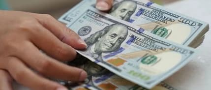 Serbest piyasada döviz açılış fiyatları (17 Temmuz 2024)