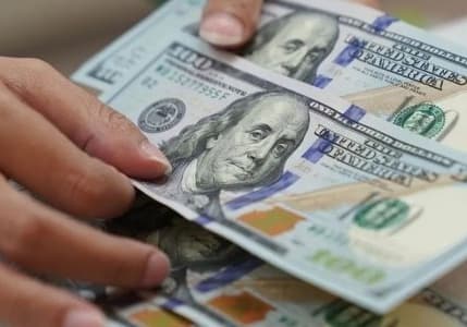 Serbest piyasada döviz açılış fiyatları (17 Temmuz 2024)