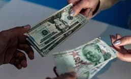 Serbest piyasada döviz açılış fiyatları (24 Eylül 2024)