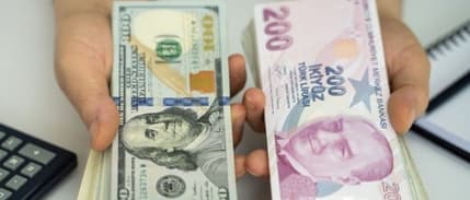 Serbest piyasada döviz açılış fiyatları (5 Aralık 2024)