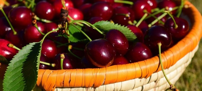 Sezonun İlk Kirazı Kilosu 150 Liradan Satıldı