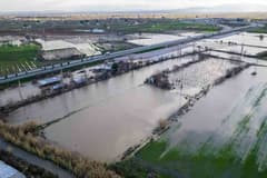 Şiddetli yağışlar tarımda hasat takvimini değiştirdi
