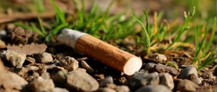 Sigara firmalarına yönelik 