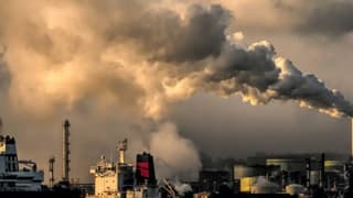 Şirketlere açılan iklim davaları artıyor: 