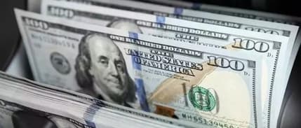 Şirketlerin döviz mevduatı son 7,5 yılın en düşük seviyesinde