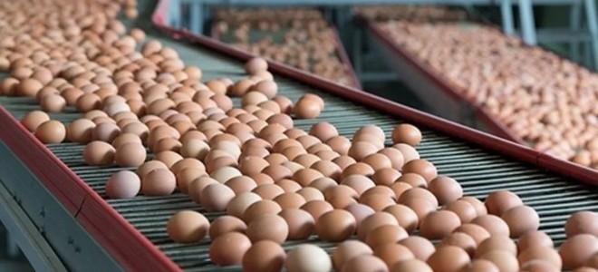 Sofralık yumurta ihracatında 1,5 dolarlık fon kesintisi kararı kaldırıldı
