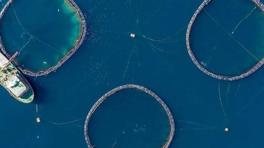 Su ürünleri ihracatında ilk yarı rekoru