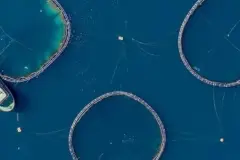 Su ürünleri ihracatında ilk yarı rekoru