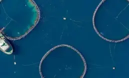 Su ürünleri ihracatında ilk yarı rekoru