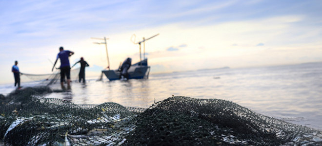 Su ürünlerinde tarihi eşik aşıldı: Üretim 1 milyon tonun üzerine çıktı