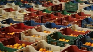 Suriye'ye Sebze ve Meyve İhracatı