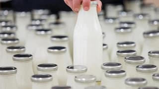 Süt şirketlerine 58,3 milyon TL ceza kesildi