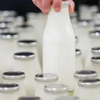 Sütler için yeni düzenleme: Sadece doğal aroma vericiler kullanılabilecek