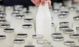 Sütler için yeni düzenleme: Sadece doğal aroma vericiler kullanılabilecek