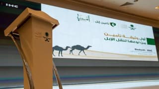 Suudi Arabistan develer için pasaport uygulamasını başlattı