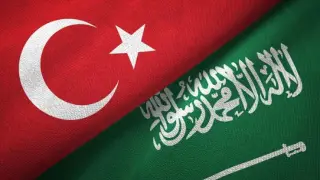  Suudiler Türkiye'de GES kuruyor