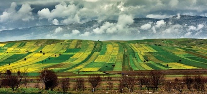 Tarım arazileri için hisseli satış uyarısı
