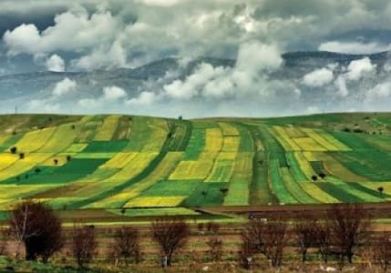 Tarım arazileri için hisseli satış uyarısı