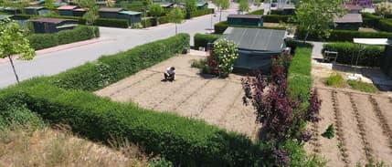 Tarım arazilerinde hobi bahçesi dönemi sona eriyor