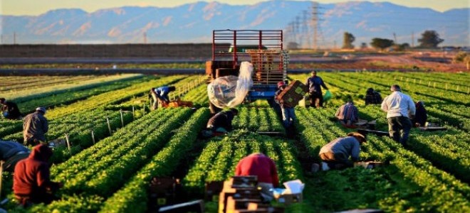 Tarım dışı işsizliğin Ekim'de artması bekleniyor