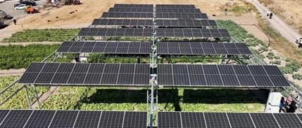 Tarım GES sayısı dörde çıkarılıyor