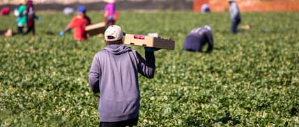 Tarım işçilerine en yüksek ödeme yapılan iller belli oldu