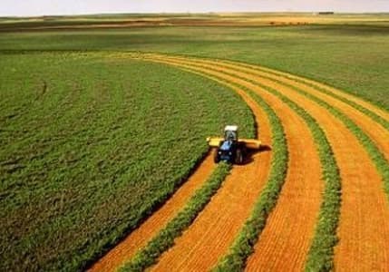 Tarım ÜFE, 2023'te yüzde 52,66 artış kaydetti