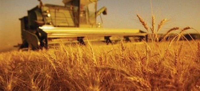 Tarım Üfe Ağustos’ta Arttı