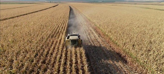 Tarım ÜFE aralıkta %151,03 arttı