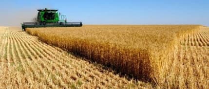 Tarım ÜFE Ekim’de yıllık yüzde 16.02 arttı