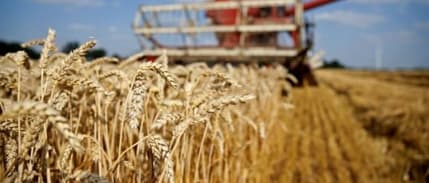 Tarım ÜFE ekimde arttı