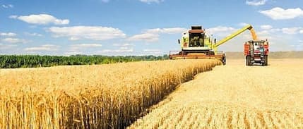 Tarım ÜFE haziranda arttı