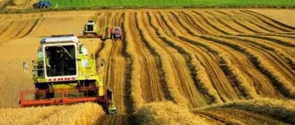 Çiftçinin enflasyonu martta yıllık bazda %106,77 arttı