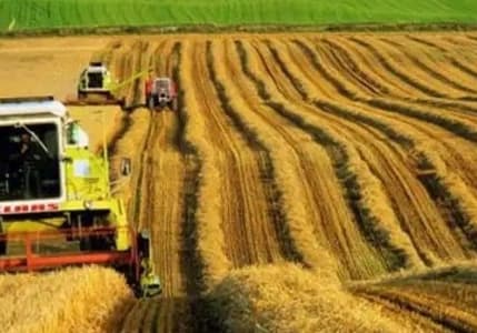 Çiftçinin enflasyonu martta yıllık bazda %106,77 arttı