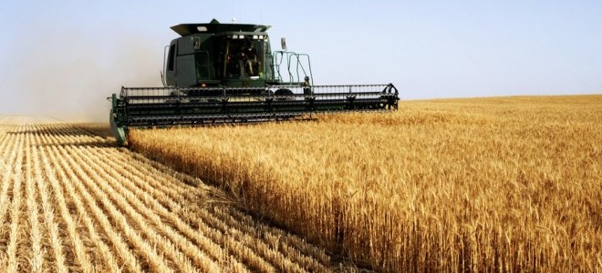 Tarımda mevsimsel dalgalanmalar endekse yansıdı: Yıllık artış yüzde 28