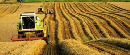 Tarım ÜFE nisanda aylık bazda yüzde 17,76, yıllık yüzde 118,53 arttı