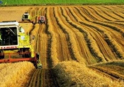 Tarım ÜFE nisanda aylık bazda yüzde 17,76, yıllık yüzde 118,53 arttı